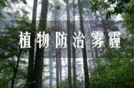 PM2.5有的治嗎？
