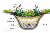 什么是雨水花園？雨水花園和普通花園有什么區別？