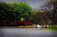 傳統園林設計方案：太子灣公園景觀設計